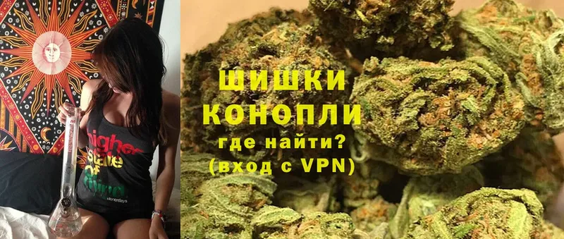 MEGA   Кириши  Каннабис SATIVA & INDICA 